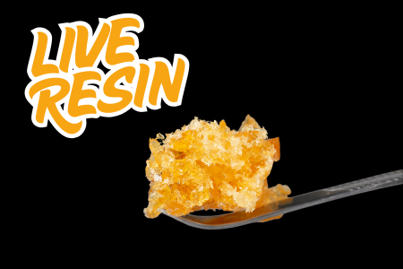 What are Live Rosin Concentrates?