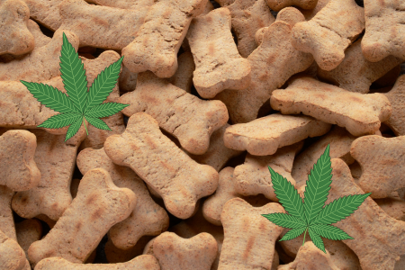 Animals and Weed: New Laws at Work